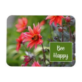 Íman Flores Felizes, Rosa e Vermelho, Dahlia Abelhas, M