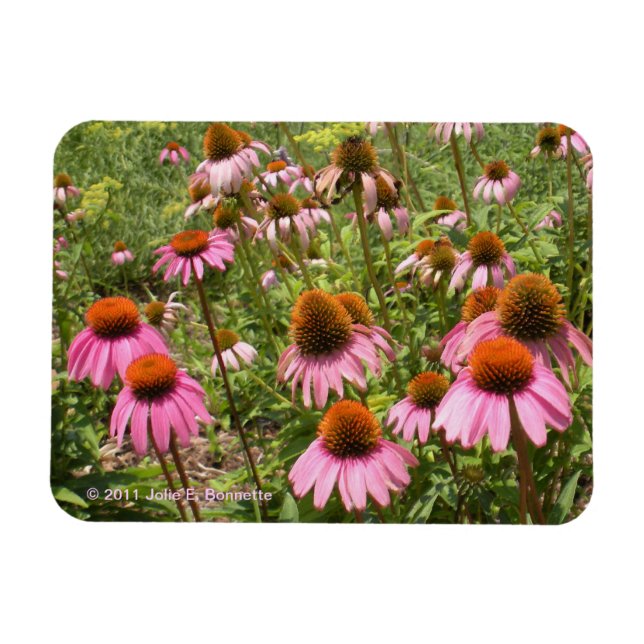 Íman Flores Flexi Magnet (Horizontal)