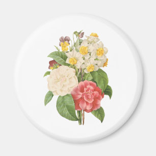 Íman Flores Florais Antigas Camélia Narciso por Redoute