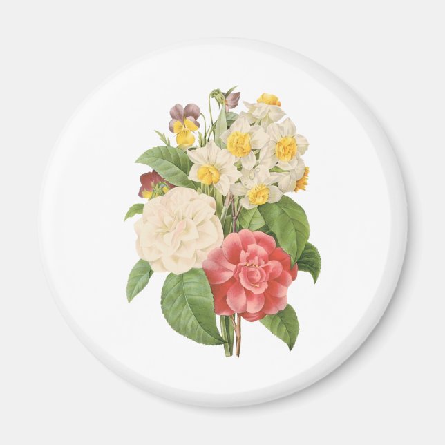 Íman Flores Florais Antigas Camélia Narciso por Redoute (Frente)