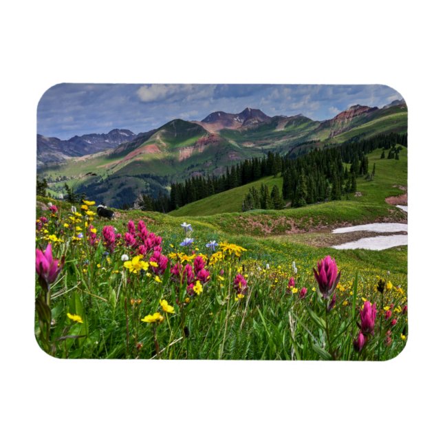 Íman Flores | Flores selvagens Durango, Colorado (Horizontal)