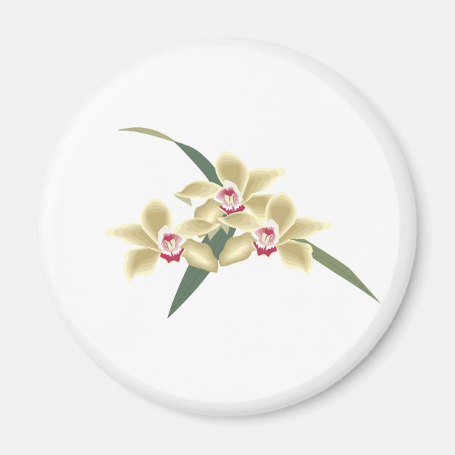 Íman Flores florescem com folhas (Frente)