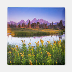 Íman Flores Grand Teton National Park, Wyoming