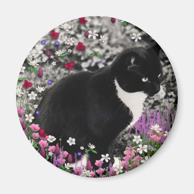 Íman Flores II - Gato Tuxedo (Frente)