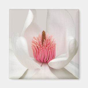Íman Flores   Magnésia Branca