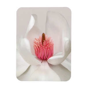 Íman Flores Magnésia Branca