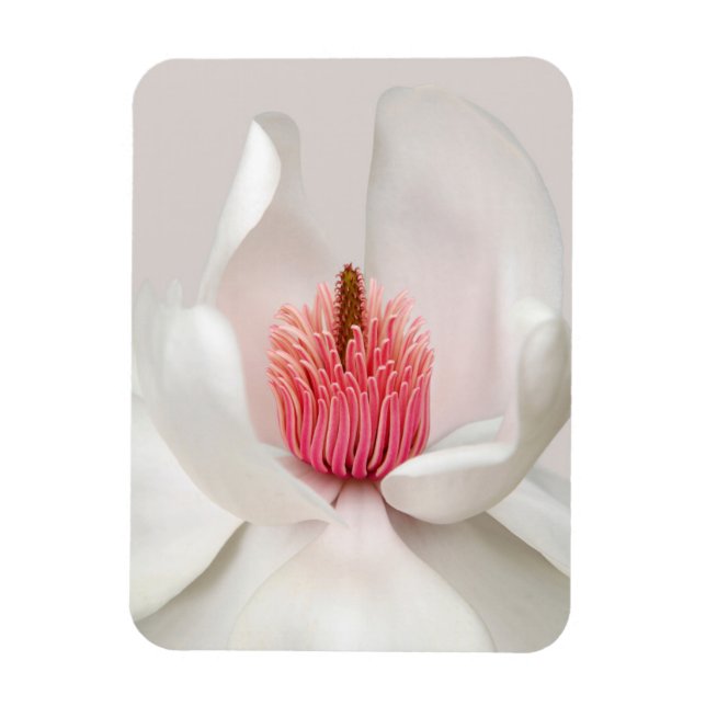 Íman Flores | Magnésia Branca (Vertical)