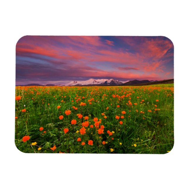 Íman Flores | Montanhas com paisagens de flores silvest (Horizontal)