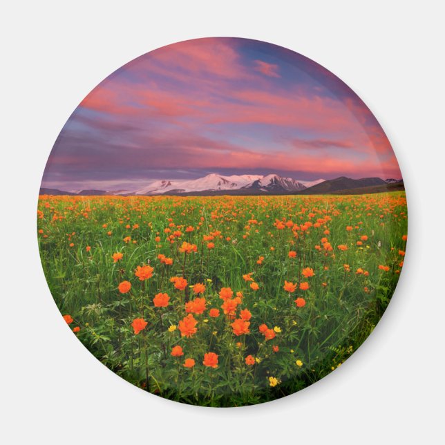 Íman Flores | Montanhas com paisagens de flores silvest (Frente)