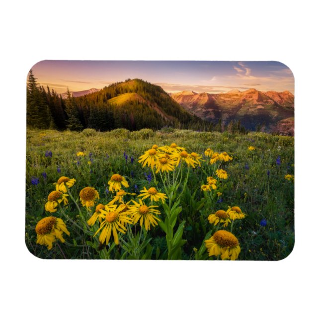 Íman Flores | Mountain Meadow Brested Colorado (Horizontal)
