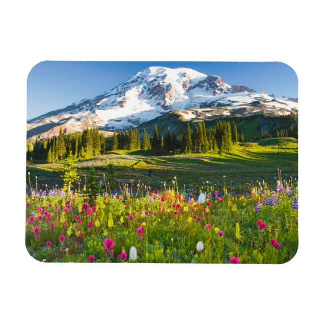Íman Flores | Mt. Rainier Wildflower (Horizontal)