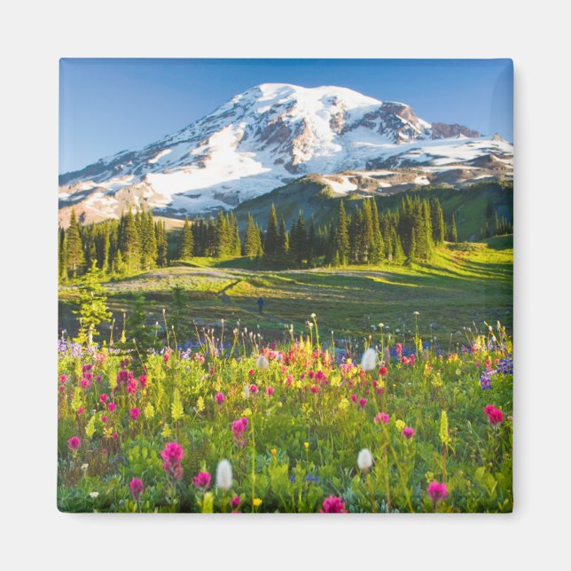 Íman Flores | Mt. Rainier Wildflower (Frente)