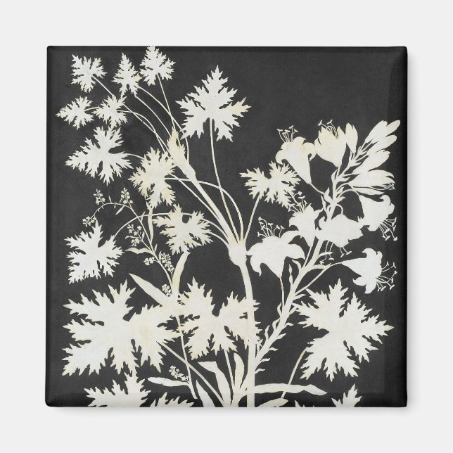 Íman Flores na Silhouette (Frente)