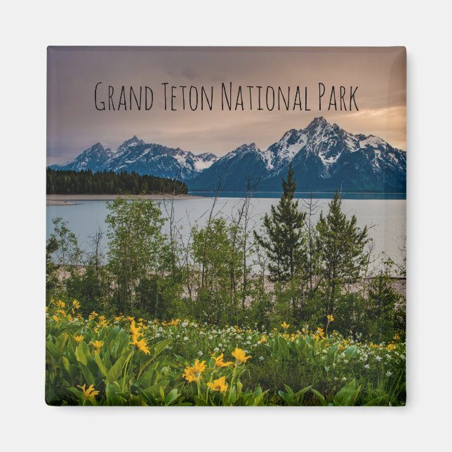 Íman Flores no compartimento de cores (Frente)