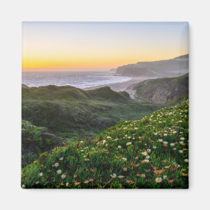 Íman Flores Papais noeis Cruz Califórnia