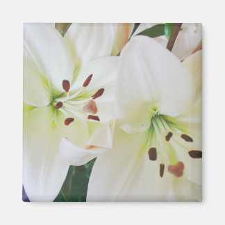 Íman Flores para casamentos brancas Salve as Imãs de ge