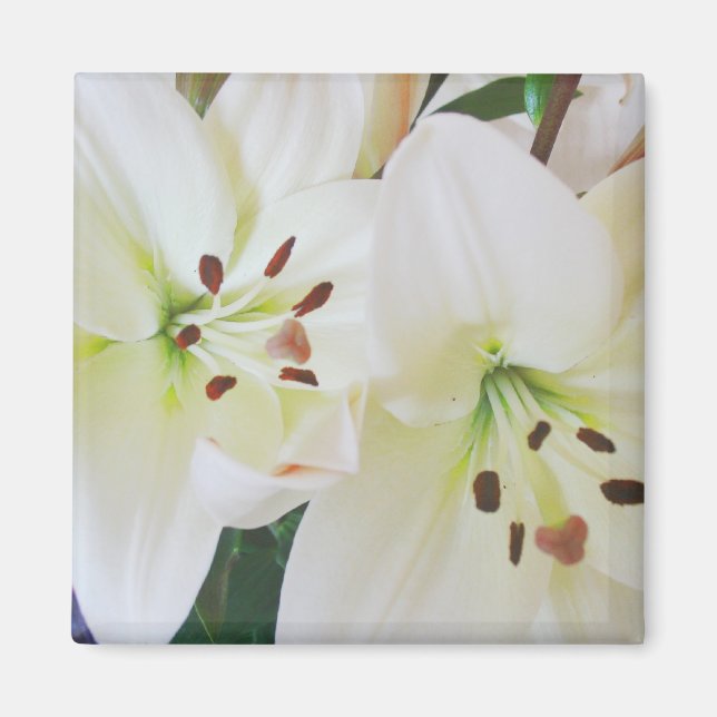 Íman Flores para casamentos brancas Salve as Imãs de ge (Frente)