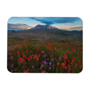 Íman Flores   Pincel-da-índia