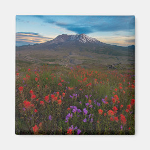 Íman Flores   Pincel-da-índia