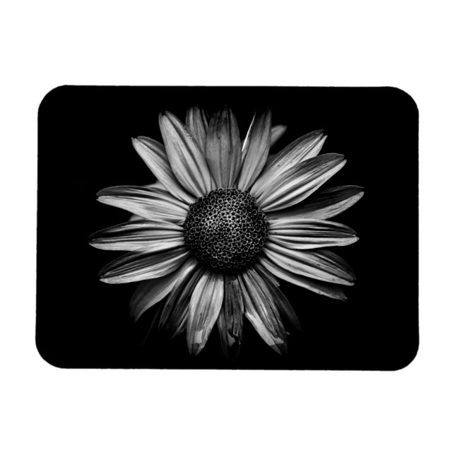 Íman Flores Pretas E Brancas 18 (Horizontal)