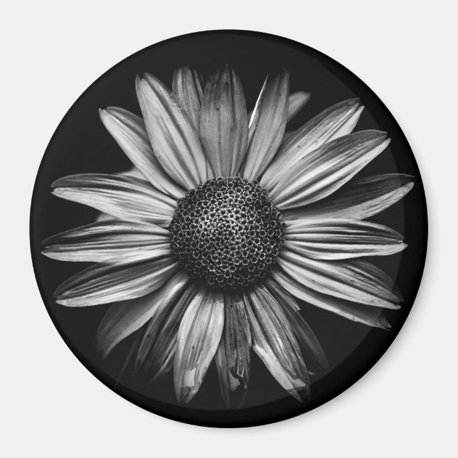 Íman Flores Pretas E Brancas 18 (Frente)