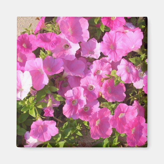 Íman Flores Rosa (Frente)