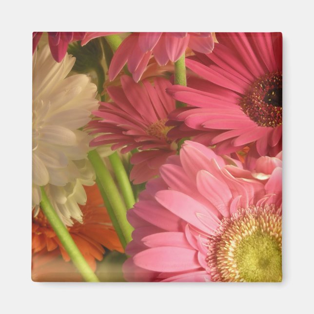 Íman Flores rosa (Frente)