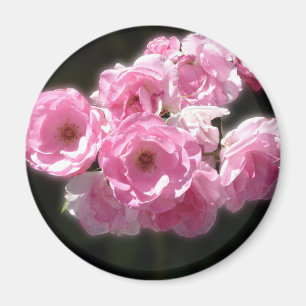 Íman Flores Rosa Padrão, Magnete Arredondado De 2¼ Po