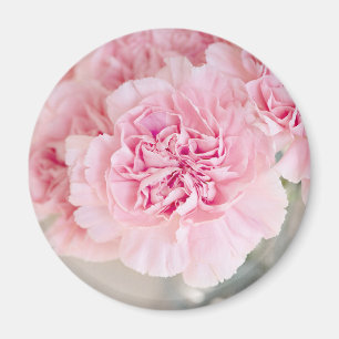 Íman Flores Rosa Rosa Rosa Rosa Rosa Rosa Rosa Rosa Ros