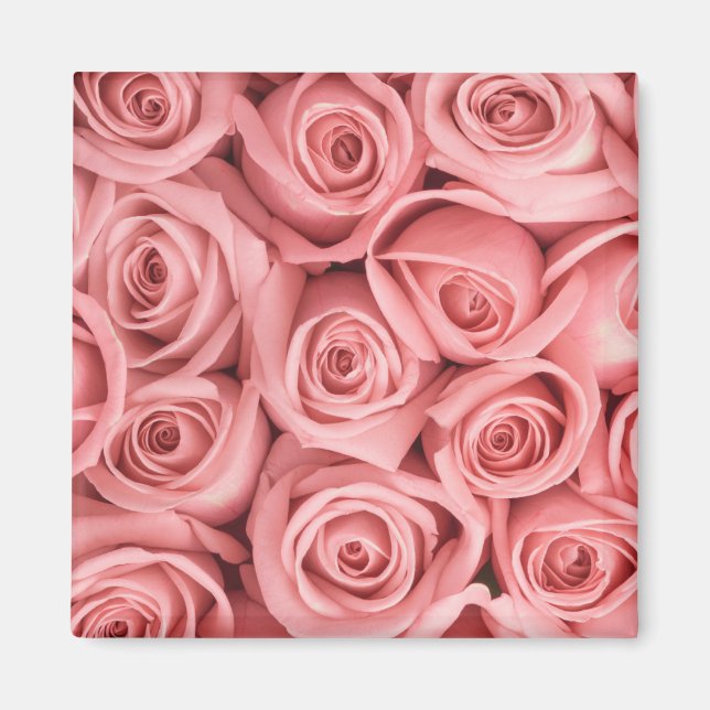 Íman Flores | Rosas rosadas (Frente)