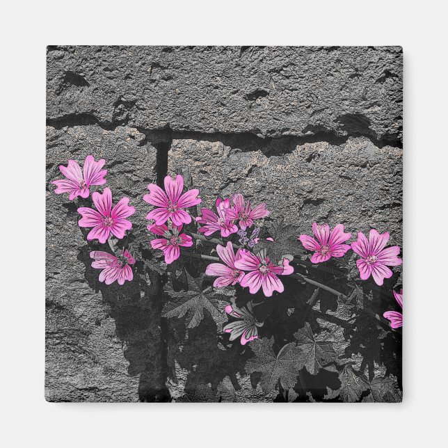 Íman Flores roxas (Frente)