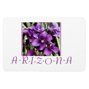 Íman Flores roxas arizonas