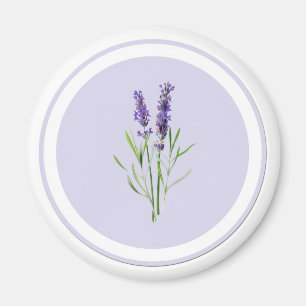 Íman Flores roxas bonito da lavanda