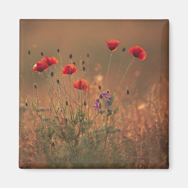 Íman flores silvestres (Frente)