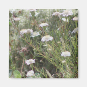 Íman Flores Silvestres Almofada Branca de Alfinetes Aqu
