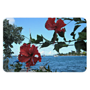 Íman Flores tropicais da ilha