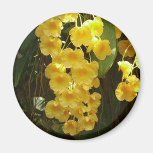 Íman Flores Tropicais das Orquídeas Amarelas