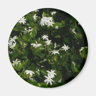 Íman Flores Tropicais De Jasmine