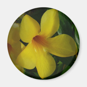 Íman Flores tropicais II Ouros