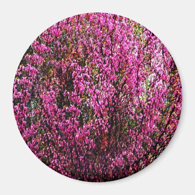 Íman Flores vermelhas...... (Frente)