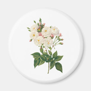 Íman Flores Vintage Floral Blush Noisette Rose Redoute