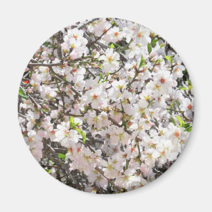Íman florescente