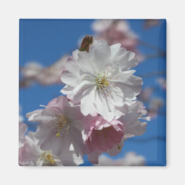 Íman florescente de flores (Frente)