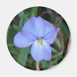 Íman FloresSilvestres Violeta Pata de Pássaro IV Presen