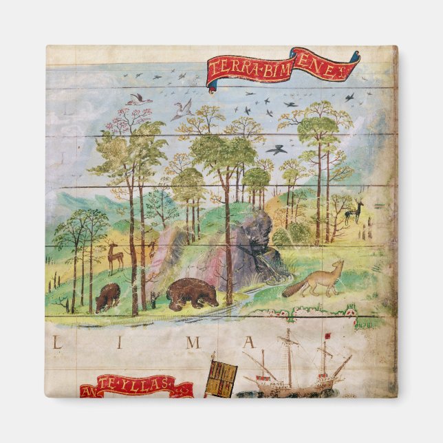 Íman Floresta Canadiana (Frente)