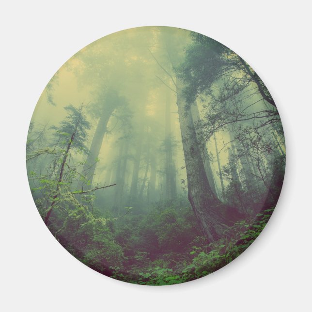 Íman Floresta De Baixo (Frente)