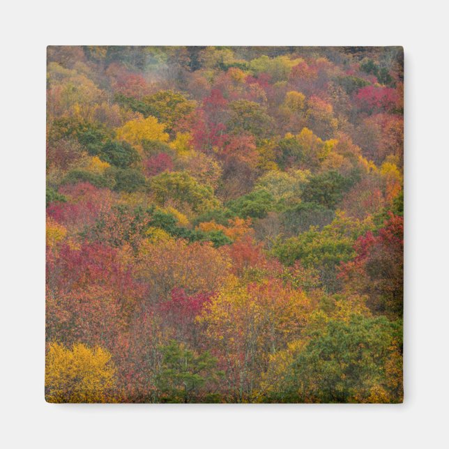 Íman Floresta de Madeira em Randolph County, Virgínia O (Frente)