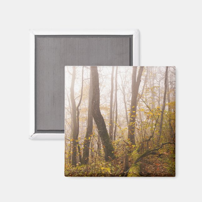 Íman Floresta de Outono Atmosférica na Névoa, foto (Front/Back)