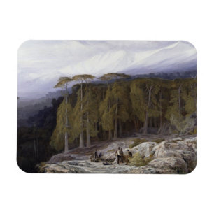 Íman Floresta de Valdoniello, Córsega, 1869 (petróleo e