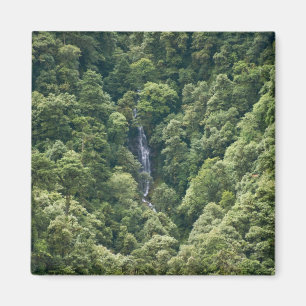 Íman Floresta do Himalaia no vale de Mangdue, Butão